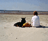 Im Bild sehen Sie eine Strandszene mit Herrn Bahr und seinem Hund bei strahlendem Wetter.